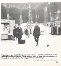 NYC Penn Station Pigeon Photo 1964 Pre-Demolition Rail Scene 5.25 x 5.5