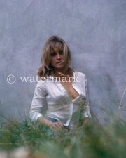Sharon Tate Vintage 1960s Hollywood Actress  8x10 Publicity Photo Celebrity picture