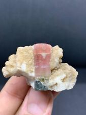 Watermelon Tourmaline Crystal Specimen From Afghanistan picture