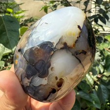 250g Rare Natural Dendritic Agate FreeformA+Quality Multi-Inclusions Crystal picture