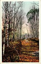Vintage Postcard  A Roadway In Autumn Berkshire Hills Mass. Massachusetts picture