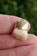Antique 10k Yellow Gold Elks Tooth Fob / Pendant - 2.8g picture