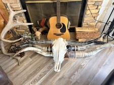 Western Americana Longhorn Steer Skull with Horns Wall Decor picture