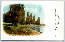 Postcard Willows & Poplars, Lake Merritt, Oakland California Posted 1905 picture