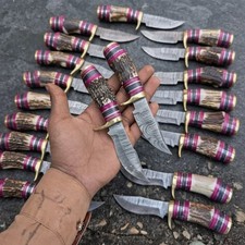 Lot 20 Pcs Custom Handmade Damascus Steel Hunting Skinner Knives picture
