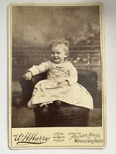 Cabinet Card Photograph Antique Portrait Wooster Ohio WH Harry Photography picture