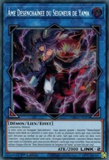 Yu Gi Oh Yama Lord's Unchained Soul MP24-FR101 Secret Rare FR picture