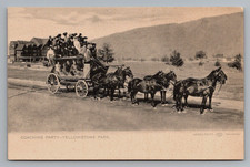 RARE* HAYNES YELLOWSTONE POSTCARD, GREY SERIES GREEN BACK UNDIVIDED picture