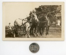 Old 1920's FARM photo / Boy Loves His Handsome Team of PLOW HORSES in Harnesses picture