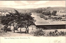 1907 VIEW of FISHING CREEK BLOOMSBURG PA ANTIQUE ROTOGRAPH POSTCARD picture
