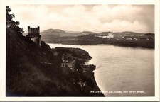 View Weitenegg Danube River Melk Abbey Austria Real Photo RPPC Postcard picture