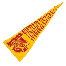 Vintage Tuskegee University 24