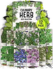 Seed Needs Herb Seeds Variety Pack of 12 - Culinary Non-GMO & Heirloom picture