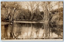 c1910's A View Of Porters Lake Shenandoah Iowa IA RPPC Photo Vintage Postcard picture