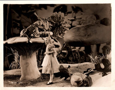 HOLLYWOOD CHARLOTTE HENRY ALICE WONDERLAND 1933 PORTRAIT Orig PHOTO MA78 picture