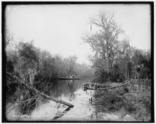 Photo:Brown's Landing Rice Creek Florida 1880s River Steamboat Dock picture