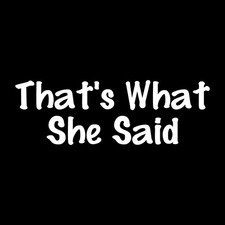 That’s What She Said Decal Sticker White Die Cut Vinyl picture