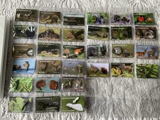 None RSPB Badges 30 of 35  GS Wild life of Britain see description  picture