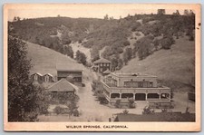 Birds Eye View Wilbur Springs California CA UNP Albertype DB Postcard E14 picture