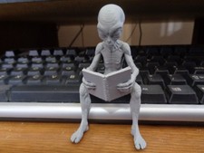 3D Gray Alien Reading Shelf Sitter picture