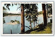 San Bernardino California CA Postcard Arrowhead Lake Little Bear c1940s Vintage picture