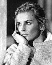Ann-Margret early 1970's wearing sweatshirt 11X17 poster picture
