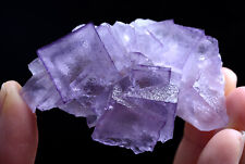 61g Natural Clear Purple Edge Fluorite Mineral Specimen /Guizhou China picture