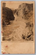 Early RPPC The Narrows Spokane River Washington Frank L. Almer c.1905 picture