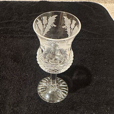 Edinburgh Crystal Etched Stemmed Wine Glass Clear Vintage Single picture