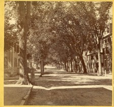 Portland Maine: Cumberland Street, Houses, Trees 1860s Kilburn Brothers E332 picture