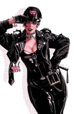 Catwoman #93 CVR D Chloe Brailsford VAR Pre Order 11/18/26 DC Comics picture