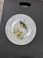 SCHUMANN Arzberg Bavaria Oriole Bird Plates Gold Rimmed 8” Vintage picture