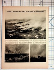 Florida Everglades Wildfire 1940s Vintage Magazine Page Article Disaster picture