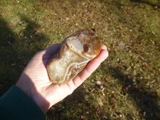 NICE LARGE 17 OUNCE LAKE SUPERIOR AGATE picture