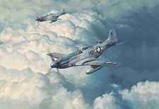 Looking for Trouble by Robert Taylor art print signed by 8 WWII Mustang Pilots picture