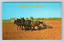 Amish Country PA-Pennsylvania Greetings, Farmer Tilling Soil Vintage Postcard picture