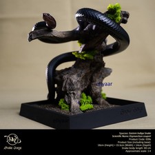 SnakeGorge Drymarchon Couperi Snake Figurine Resin Model Animal Art Statue H16cm picture