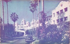 Beverly Hills Hotel Postcard 1951 Vintage Palm Lined Drive California K-Card picture
