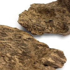 11grams Collective Wild Peninsular Aquilaria Soil Agarwood Piece 西马野生重油好香土沉沉香块 picture