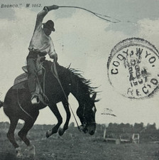 c1907 Postcard Cowboy Bucking Bronco Cody Wyoming Posted 1c Stamp Rodeo Country picture
