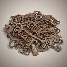 Cast Iron Skeleton Keys — 19th-Century Reproduction Key Lot of 25 Keys picture