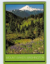 Postcard Mount Baker Washington USA picture