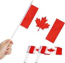 Canada Mini Flag 12 Pack - Hand Held Small Miniature Canadian Flags on Stick - F picture
