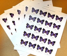 2021 Colorado Hairstreak Butterfly First Class 100 Pcs Total MNH,5 Sheets picture