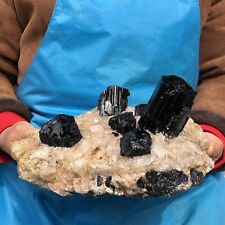 8.18LB TOP Natural Black Tourmaline Crystal Rough Mineral Healing Specimen808 picture