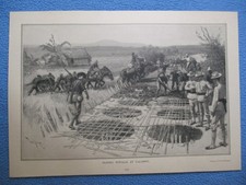 1899 Spanish American War  Print - Filipino Pitfalls At Calumpit - FRAME IT picture