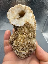 Fossilized Indiana Geode Quartz Bryozoan Agate 461 Grams picture