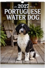 Portuguese Wall Calendar 2027 picture