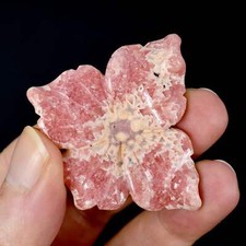 50mm Genuine Rhodochrosite Carved Crystal Crystal Flower, Argentina f17 picture