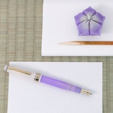 [New] Sailor World Tea Time Chanoyu Nerikiri MF Fountain Pen Bottle Ink Set picture